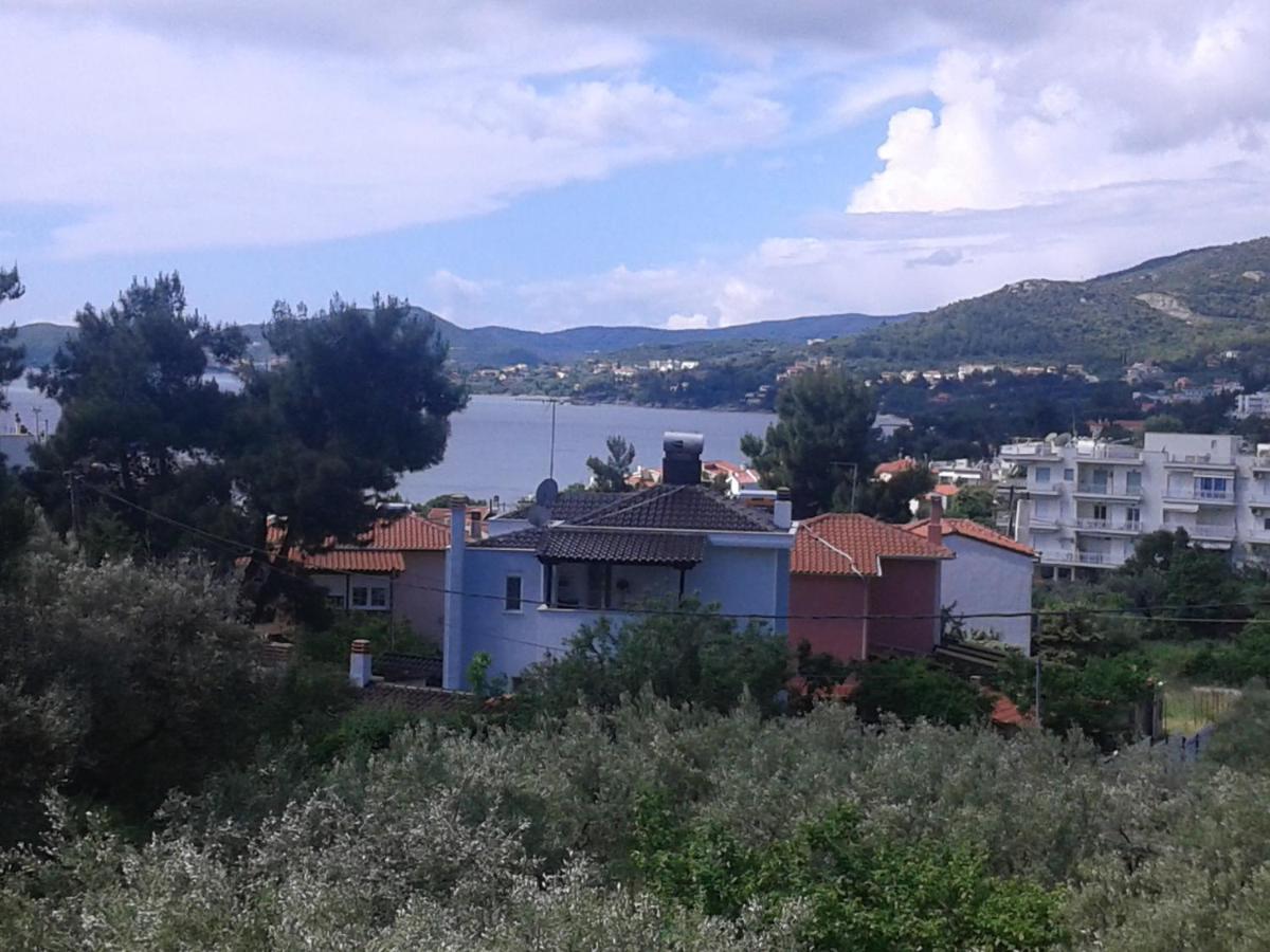 Helianthos Villa - Apartment No4 PalaiónTsiflíkion Exteriör bild