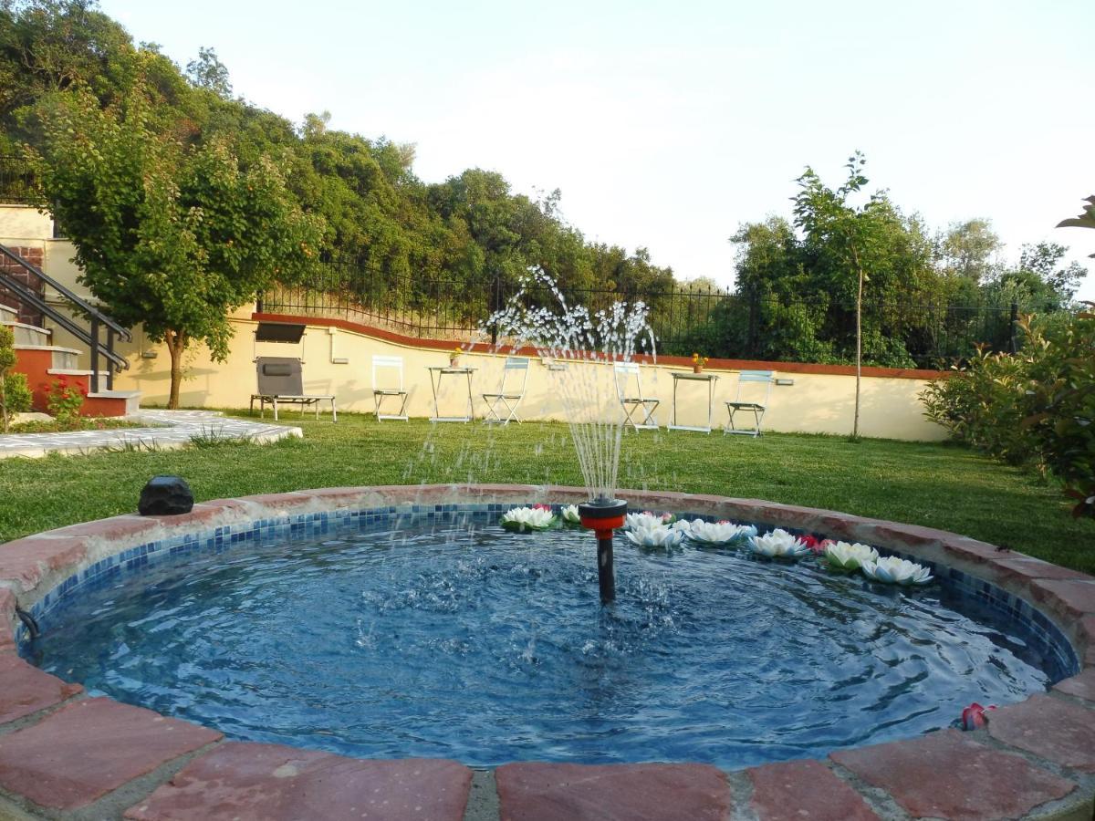 Helianthos Villa - Apartment No4 PalaiónTsiflíkion Exteriör bild