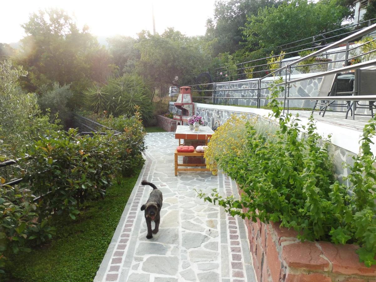 Helianthos Villa - Apartment No4 PalaiónTsiflíkion Exteriör bild